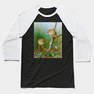 Dormice Archibald Thorburn Baseball T-Shirt